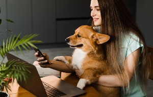 Safari Can’t Connect to iCloud Private Relay